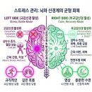 국제뇌과학색채심리연구소 | 🧠 컬러모니카의 "뇌는 왜 그럴까?" 당신도 몰랐던 일상 속 뇌과학 이야기- 시리즈 1