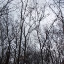 예향원[서] 네이버블로그