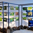 국립DMZ자생식물원방문자센터 | 억새가 만발한 양구군 해안면 국립 DMZ 자생식물원