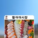 활어야시장