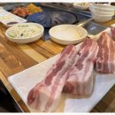 오리한마리 이미지