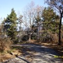 비슬약국 이미지