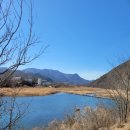 신지생태공원 이미지