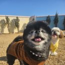 동선유치원 이미지