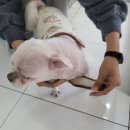 베베그루밍 이미지