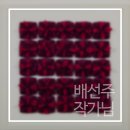 희갤러리 네이버블로그
