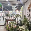 플라워 오브 아리엘 이미지