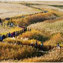 배나무집 이미지