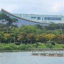 국립세종도서관 | [세종] 국립세종도서관 / 아름다운 도서관 탐방 : 시설과 이용안내, 주차, 교육프로그램 등