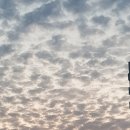 나자로약국 이미지