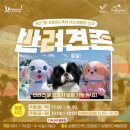 머드로 2 이미지