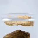 푸른솔한의원 이미지