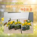 파주시장애인주간보호센터 | 파주 원예 수업 파주시 장애인 주간보호 센터 그림책 플라워테라피 파주공방이솝우화원예