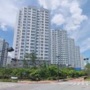 도래울약국 이미지