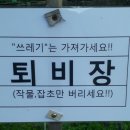 청정비니루