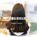 호야헤어샵