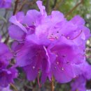 훈련원근린공원 이미지