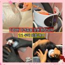 전재득환경교육연구소 | 안산 두피케어 퀸뷰티연구소 흰머리 염색으로 지친 두피스케일링 엄마 효도선물 후기