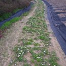 유송농장 이미지