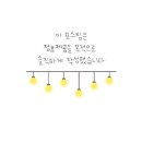 창원고양이분양 퍼스트캣 창원점 이미지