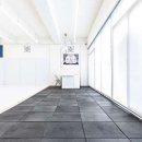 골드 레슬링 부산 이미지