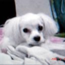 묵1동-011 이미지