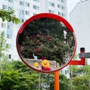 서초대로53길 16 | 임신 일기 (13주차~17주차)