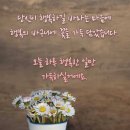 거절도 용기다 이미지