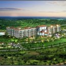 (주)비바제주 이미지