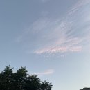(주)냉장 인터불고 | 23. 8. 14~20.