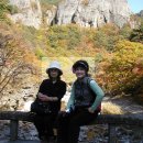 나비야호텔 이미지