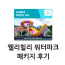 힐리 스토리 네이버블로그