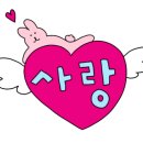 아모르미오 이미지