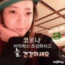 허화나무열매 효능# 이미지