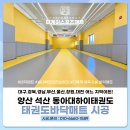 동아대하이태권도 이미지