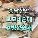 고모네식당 | [천안병천순대] 고모네순대 내돈내산 솔직후기