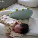 꼬미드림 이미지