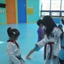 경호태권도체육관 이미지