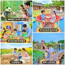 가마골어린이공원 | 2026 아이와 가볼만한곳 추천: 경기도 서울 키즈 여행 코스 맛집 카페 꿀팁 총정리