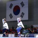 지인회태권도장 이미지