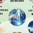 힐링궁