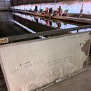 삼사낚시터 이미지