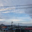 비즈니스에 대해 아주 귀한 귀동냥 - 대한발효식문화포럼 회원분들과 음성 코메가 기업 탐방 동행기]