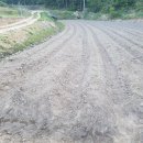 태안해수욕장부근 918평 매매 이미지