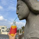 송산동 보목동 입구 | 아이더로드 제주 올레길 6코스! 소천지 정방폭포 걷기 여행