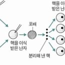 220808 365-004 복제