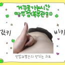 거꾸로가는시간따뚜점 이미지