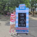 서울면티 | 초보 러너의 첫 10km 완주! <2026 월리를 찾아라 런 in 서울> 월리런 생생 후기