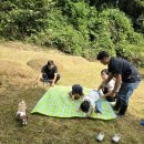 양평공설공원묘지 | 조상묘 개장과 납골당 이장, 양평공설공원묘지에 마음의 짐을 내려놓은 날!