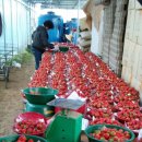 종산농장 이미지